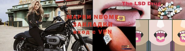 ПСИЛОЦИБИНОВЫЕ ГРИБЫ Бородино