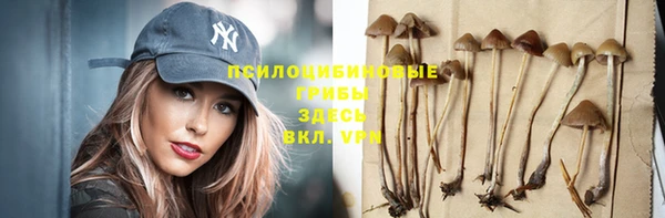 ПСИЛОЦИБИНОВЫЕ ГРИБЫ Бородино