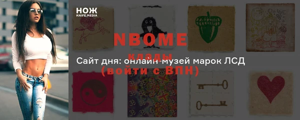 хмурый Бронницы