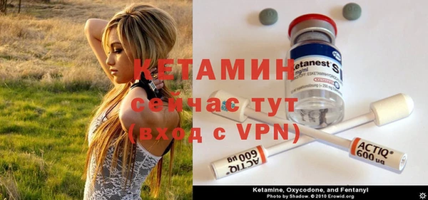 ПСИЛОЦИБИНОВЫЕ ГРИБЫ Бородино