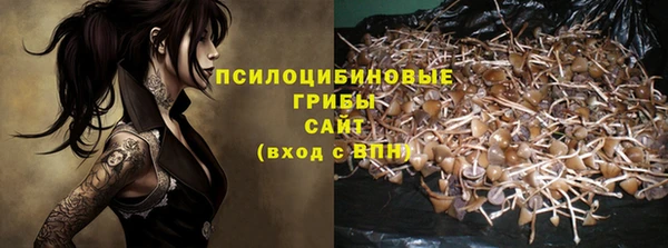 хмурый Бронницы