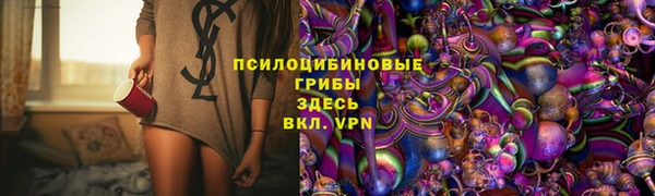 ПСИЛОЦИБИНОВЫЕ ГРИБЫ Бородино