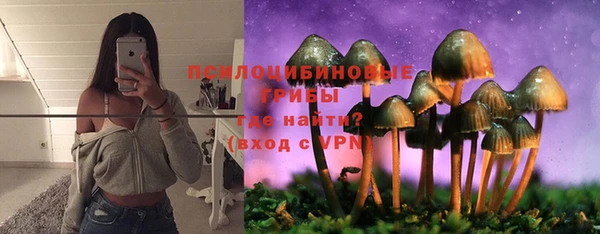 ПСИЛОЦИБИНОВЫЕ ГРИБЫ Бородино